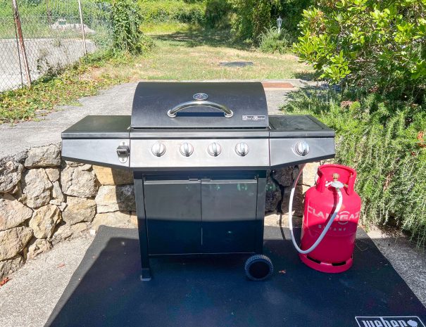 barbecue2